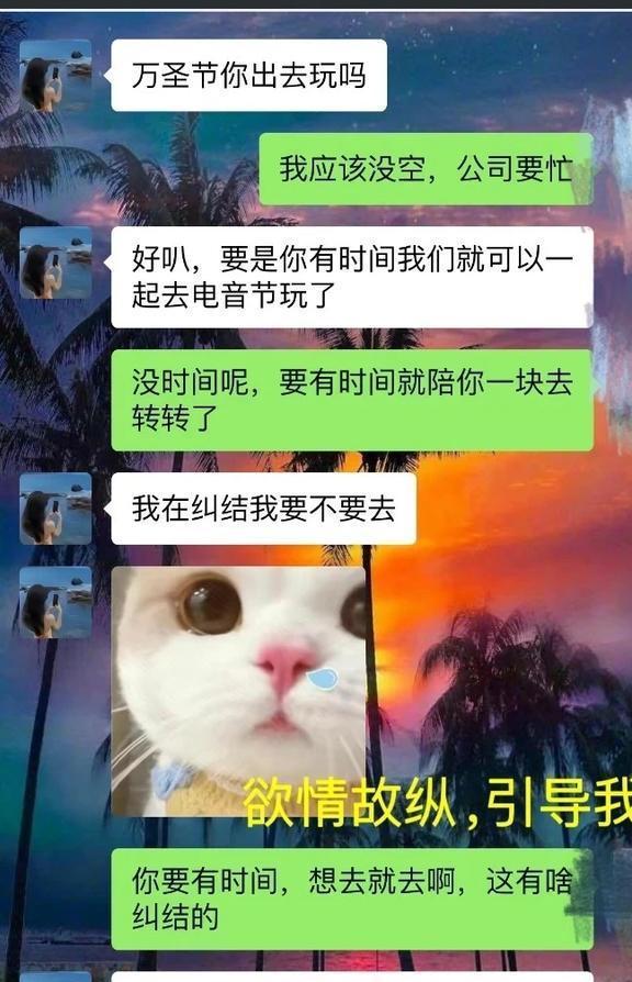 胖猫网友爆料视频,揭秘网络红人幕后真相  第2张