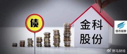 金科重整最新爆料,揭秘债务重组与转型之路 第2张 金科重整最新爆料,揭秘债务重组与转型之路 第2张